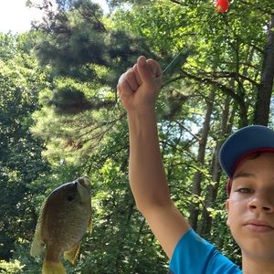 Meet your Posher, Victor